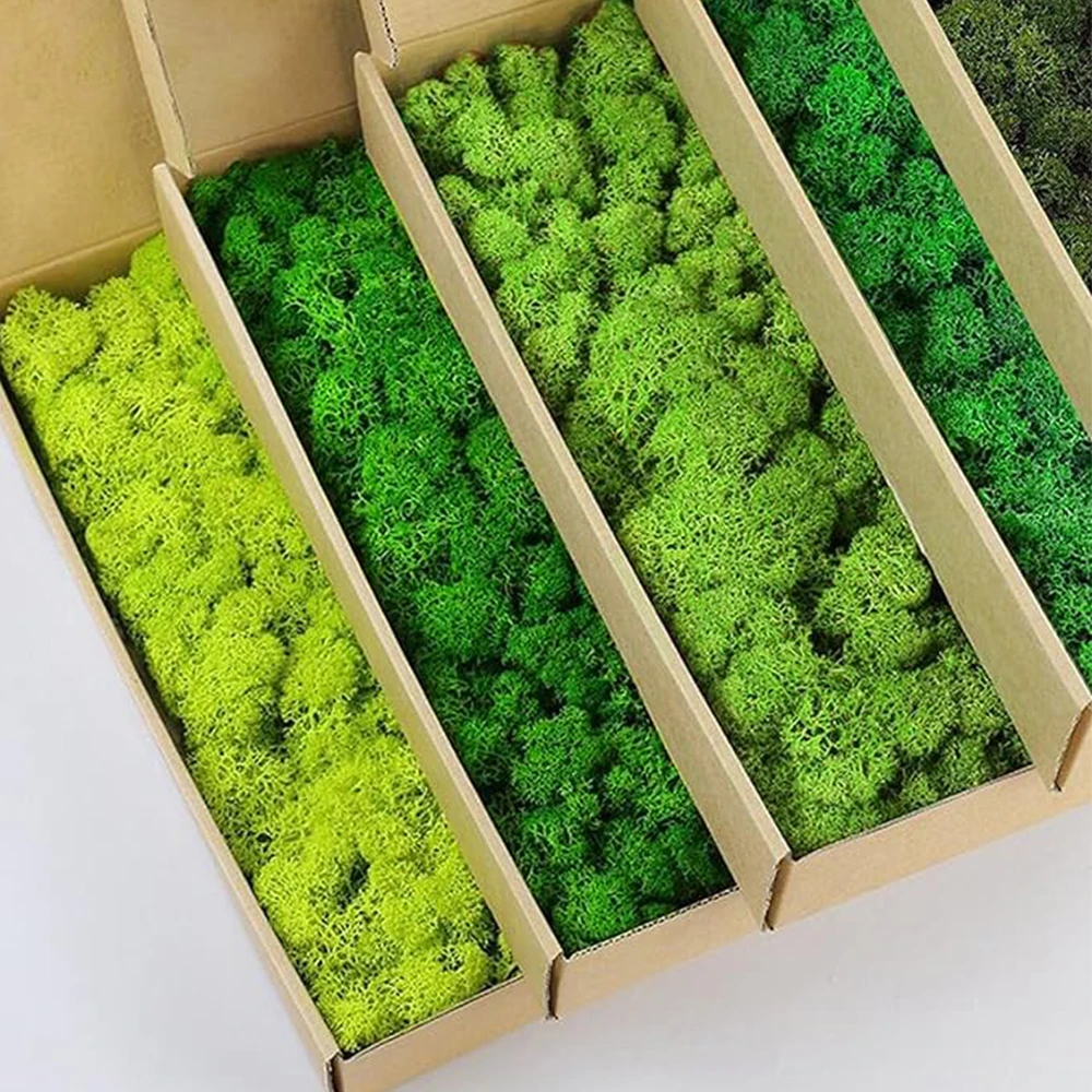 Sphagnum Moss Dry - 20-200 グラム人工緑の植物偽の草永遠の生活苔草家庭用リビングルームの庭の装飾ミニ風景 DIY 工芸品