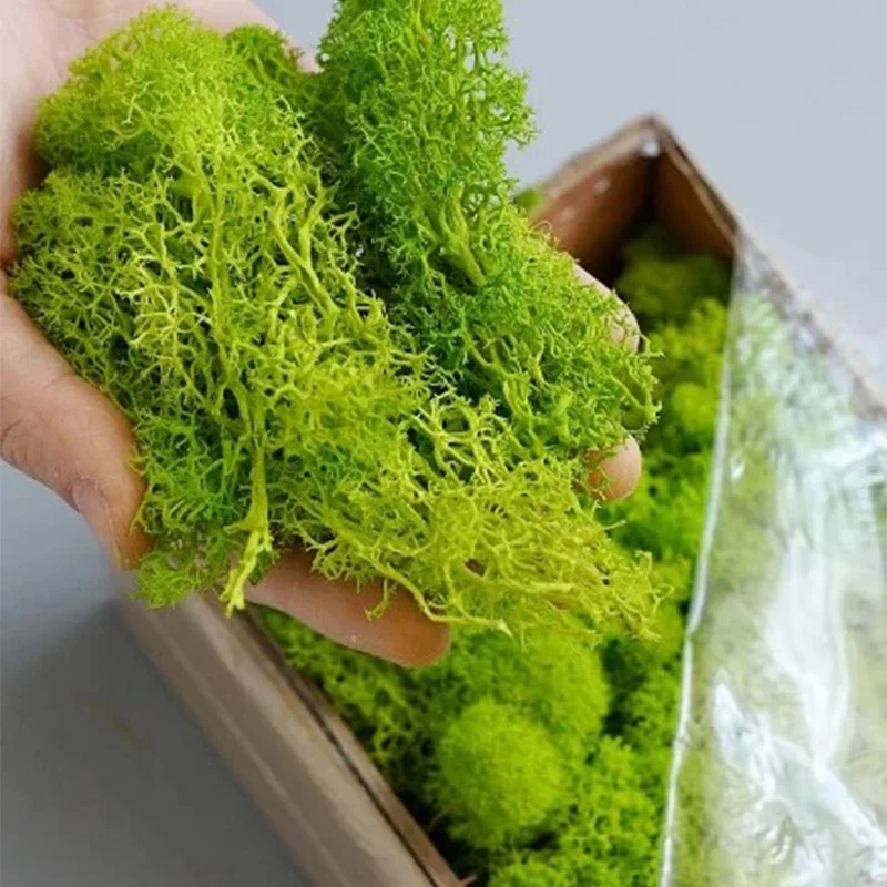 20-200 グラム人工緑の植物偽の草永遠の生活苔草家庭用リ - Sphagnum Moss Dry のレビューと価格