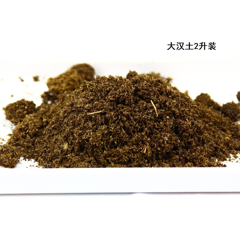 ココナッツ土レンガ 爬虫類用床材 亀・ヤモリ・ヘビ用 viv - Sphagnum Moss Dry のレビューと価格