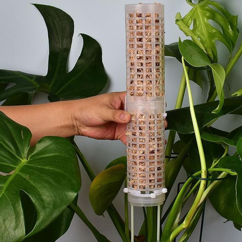 アクセサリープラスチック製モススティック、積み重ね可能なトー - Sphagnum Moss Dry のレビューと価格