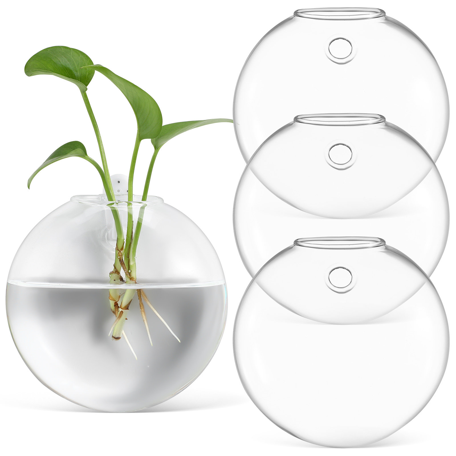 4個入り、壁掛け式の透明ガラス花瓶。室内植物の育成や、観葉植 - Propagation Station Vase のレビューと価格