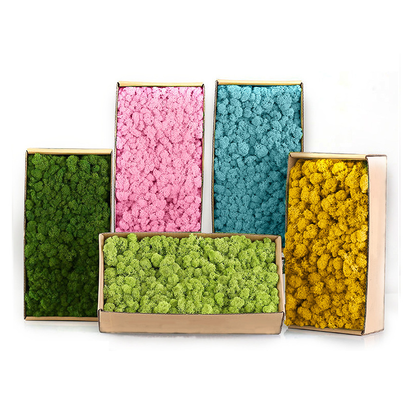 人工緑の植物ミニ風景永遠の生活苔草偽草 DIY 工芸品ホーム - Sphagnum Moss Dry のレビューと価格