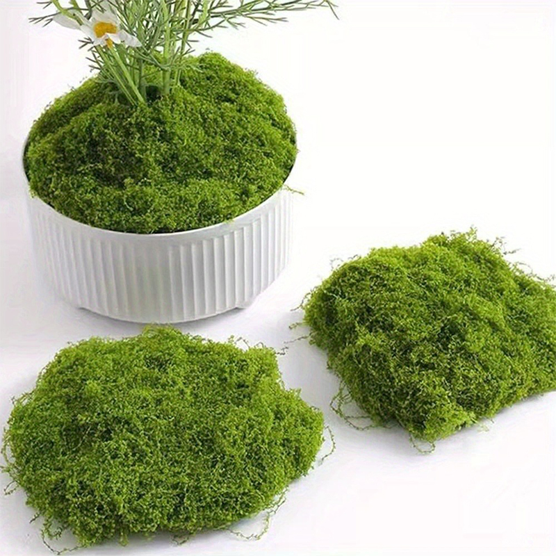 グリーンフェイクモス DIY 工芸品草人工苔フェイクプリザー - Sphagnum Moss Dry のレビューと価格